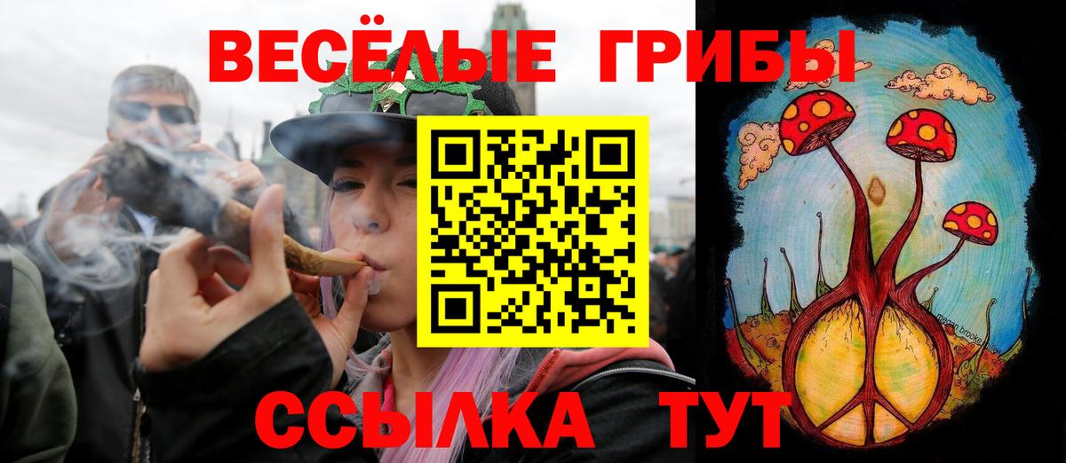 Галлюциногенные грибы Magic Shrooms Холмск
